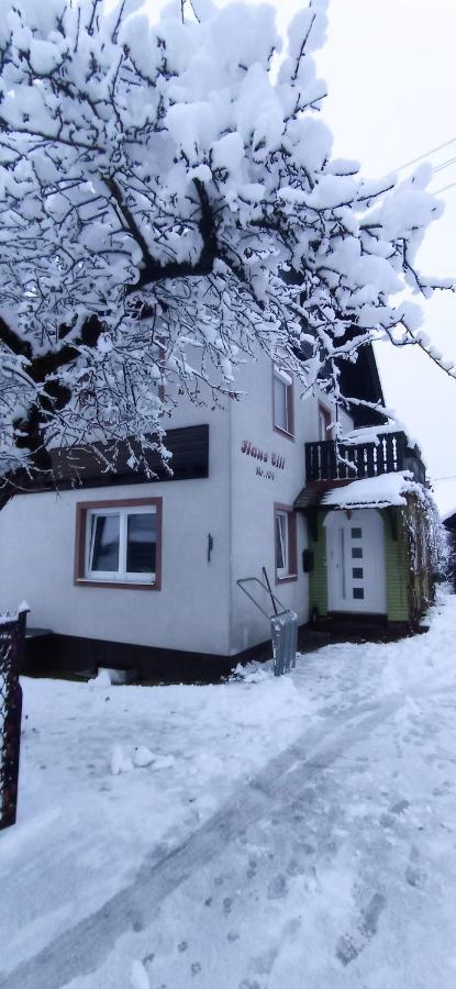 Haus Elli Appartement Greifenburg Buitenkant foto