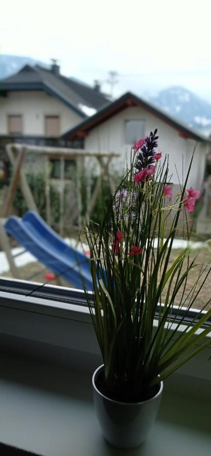 Haus Elli Appartement Greifenburg Buitenkant foto