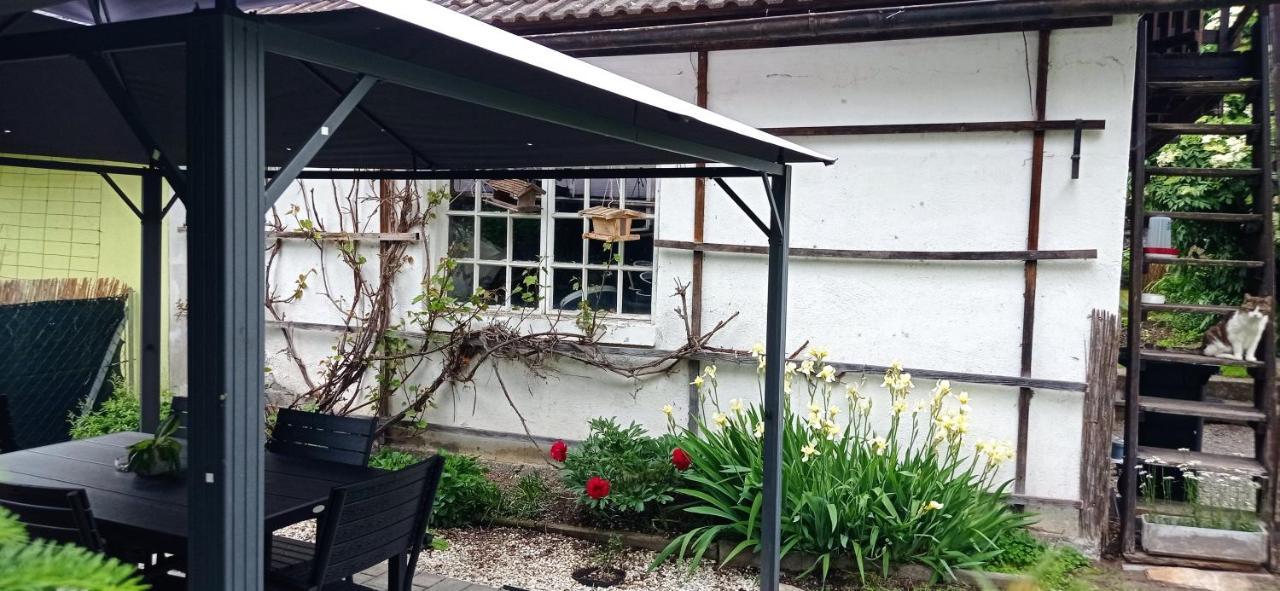 Haus Elli Appartement Greifenburg Buitenkant foto